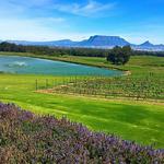 De Grendel Wine Estate and Restaurant