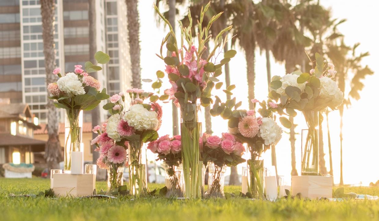 Hero Slideshow Image 3