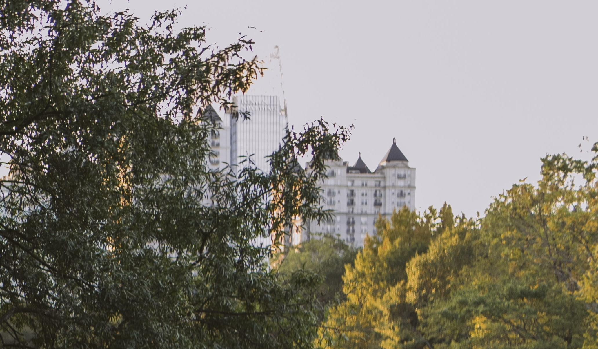 The Wedding Website of Hemba Kamau and Zane Odeh