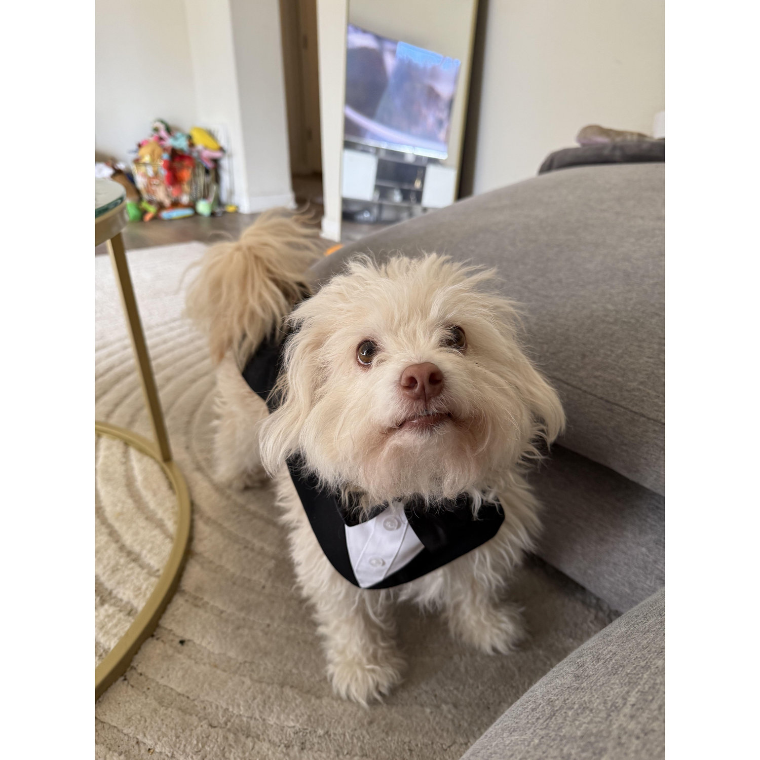Honorary Best Man - Duggie