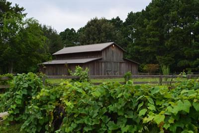The Wedding Website of Tarah Collier and Brandon Mattis