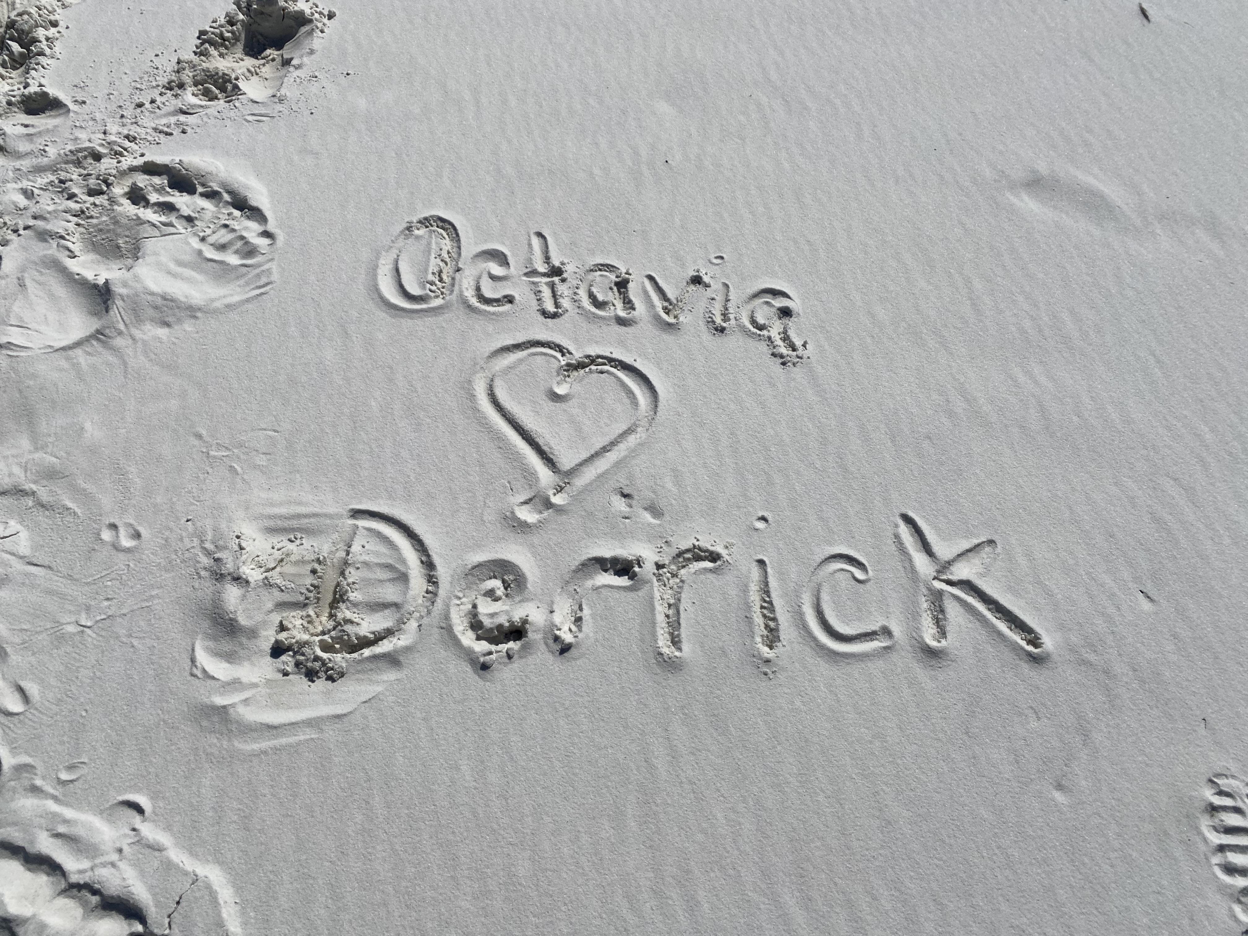 The Wedding Website of Derrick Lewis and Octavia Satchel