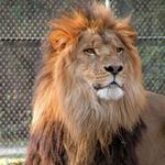 Cape May County Park & Zoo