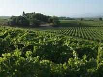 J Vineyards & Winery