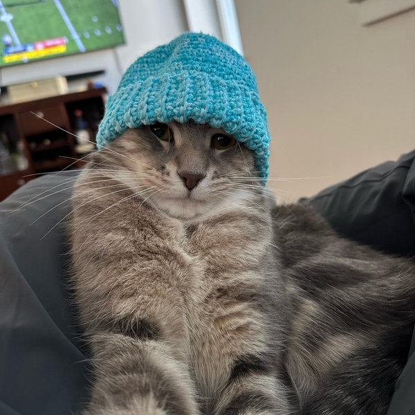 Year's Supply Of Catnip for Wally