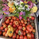 Farmer's Market