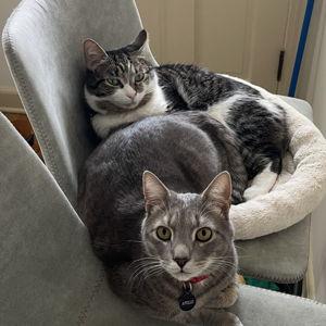 Oscar and Apollo!