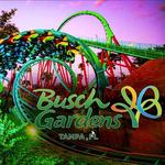 Busch Gardens Tampa Bay