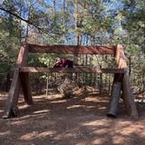 Stevens Point Sculpture Park