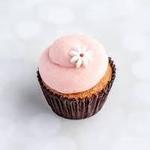 Lancaster Cupcake