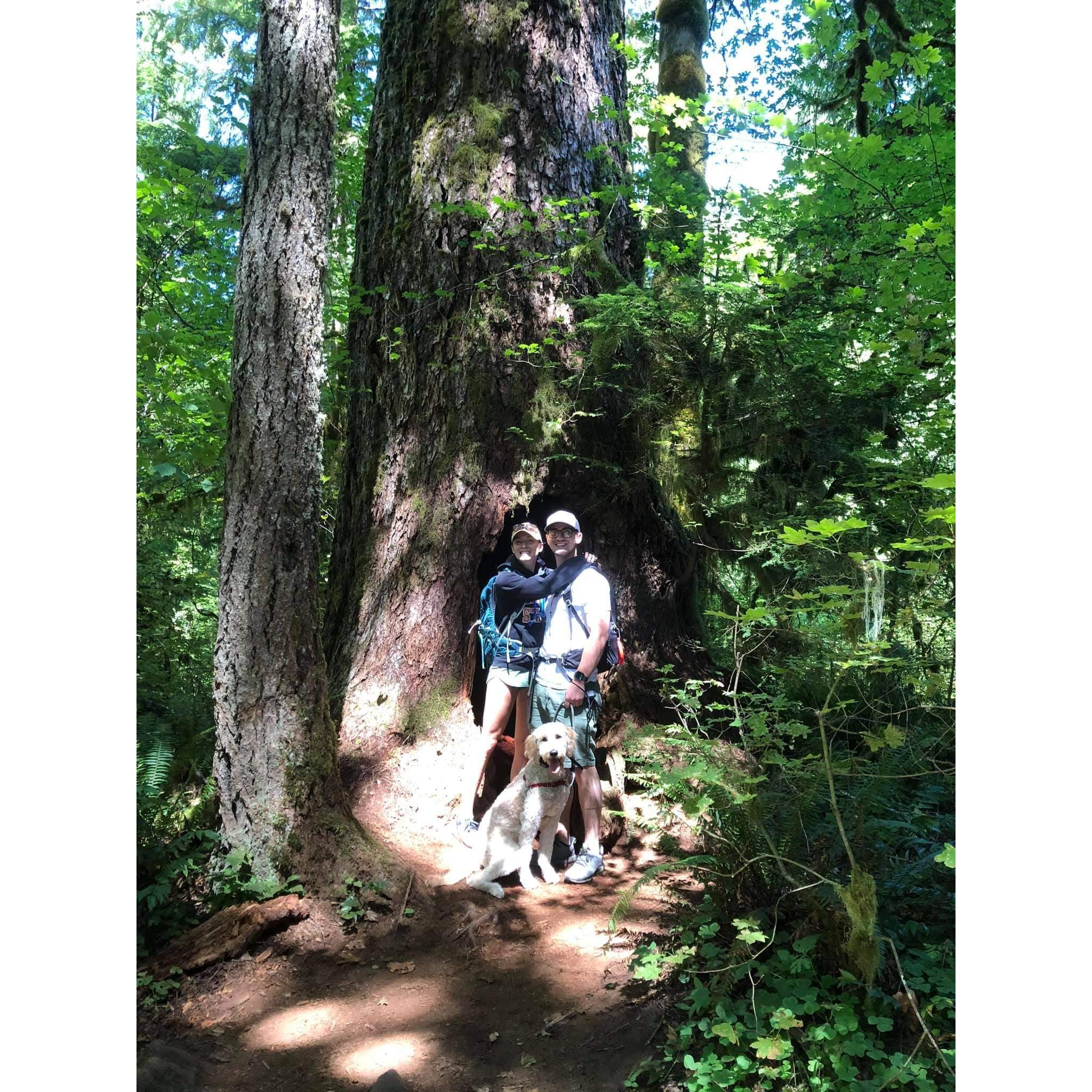 Camping/hiking trip - Aug 2020