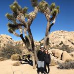 Joshua Tree National Park