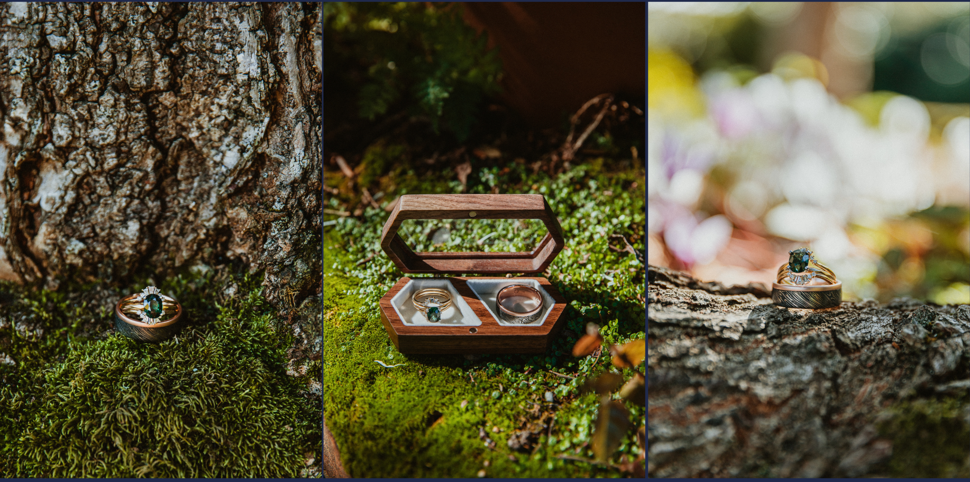 The Wedding Website of Constance Mauk and Matt Terpstra