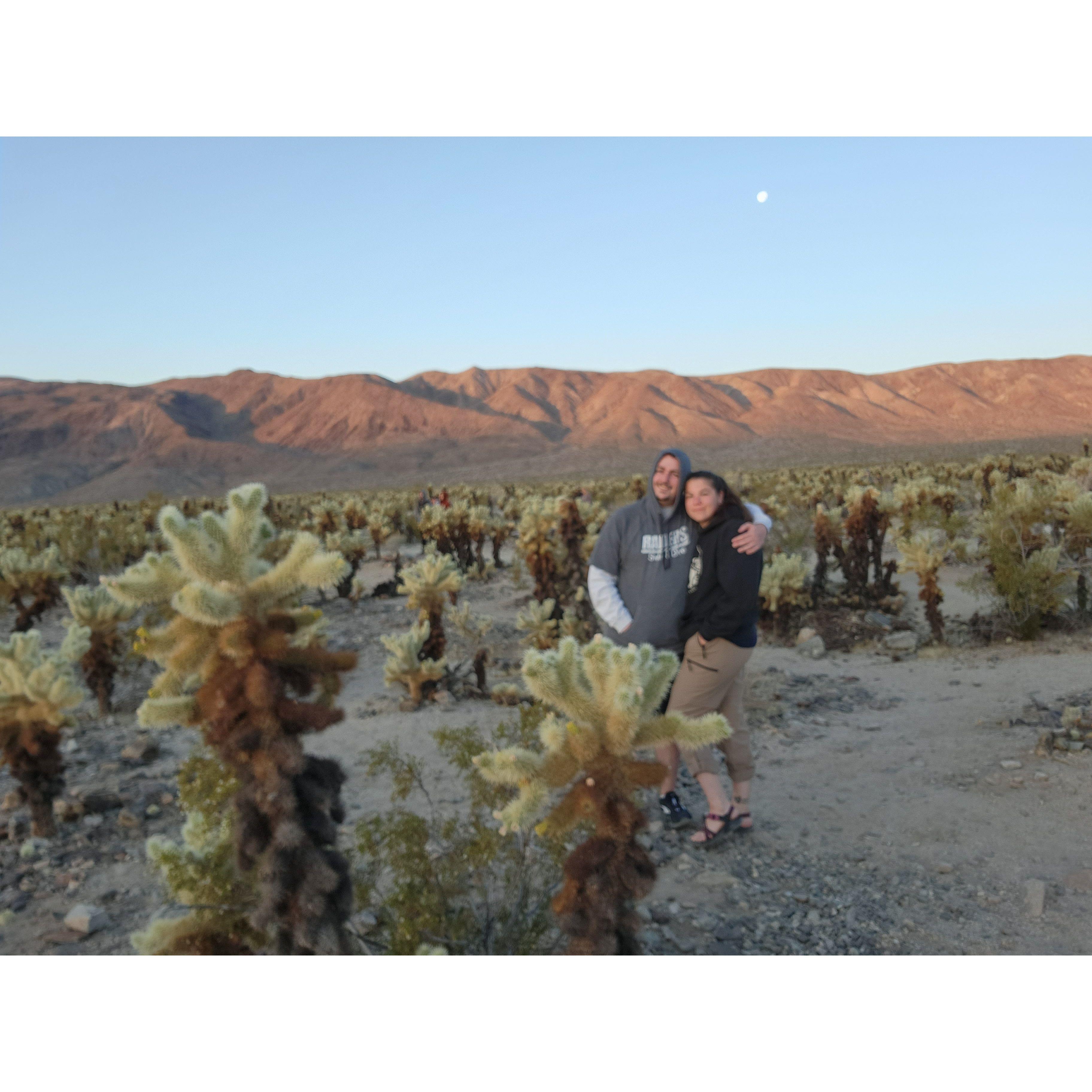 Joshua Tree National Park sunrise, (2023)