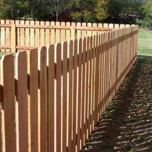 Fenced In Yard Fund for Mac & Bucky