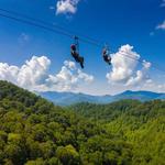 Navitat Canopy Adventures