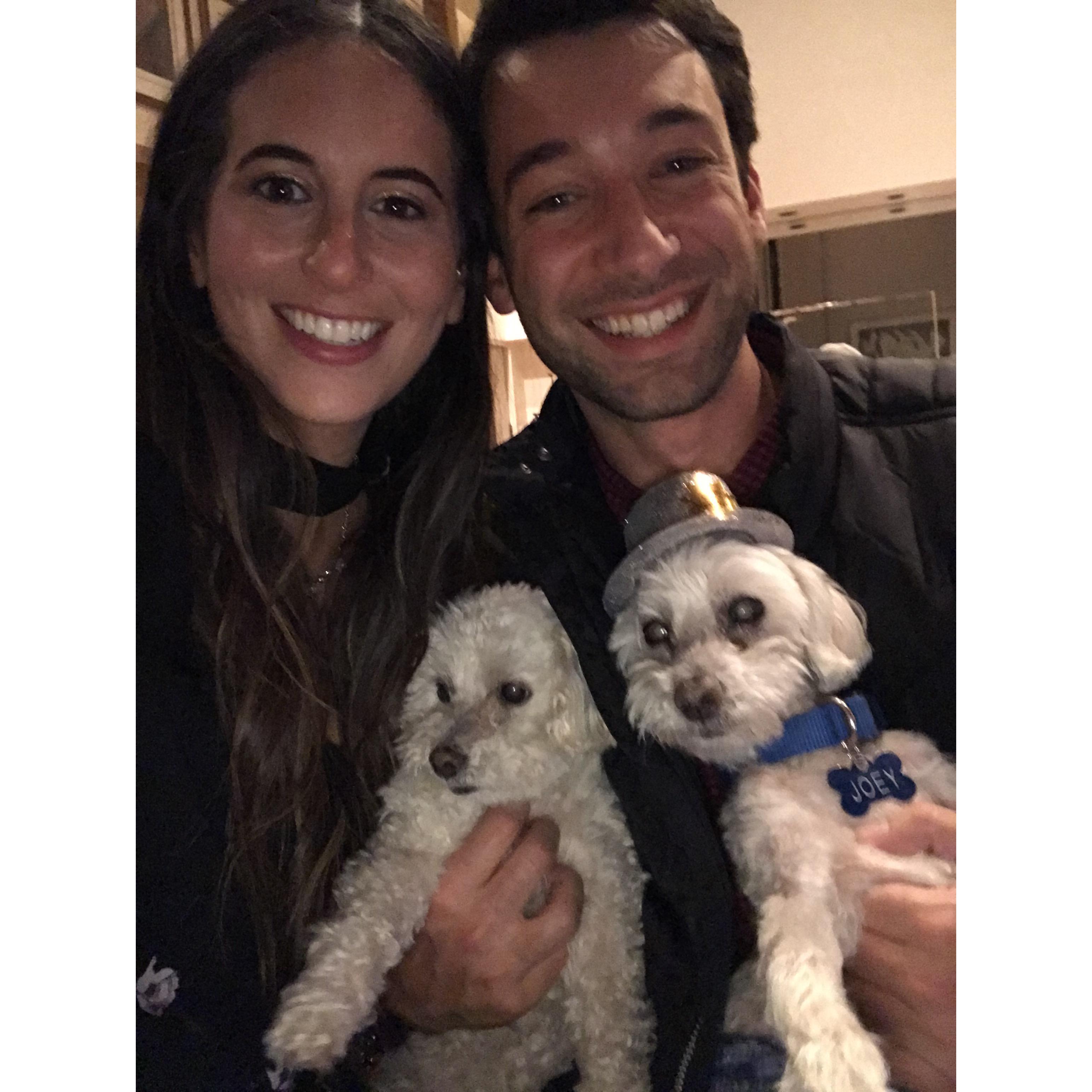 New Years in Baltimore with the pups