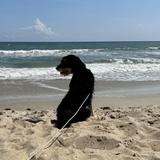 Cape Hatteras National Seashore
