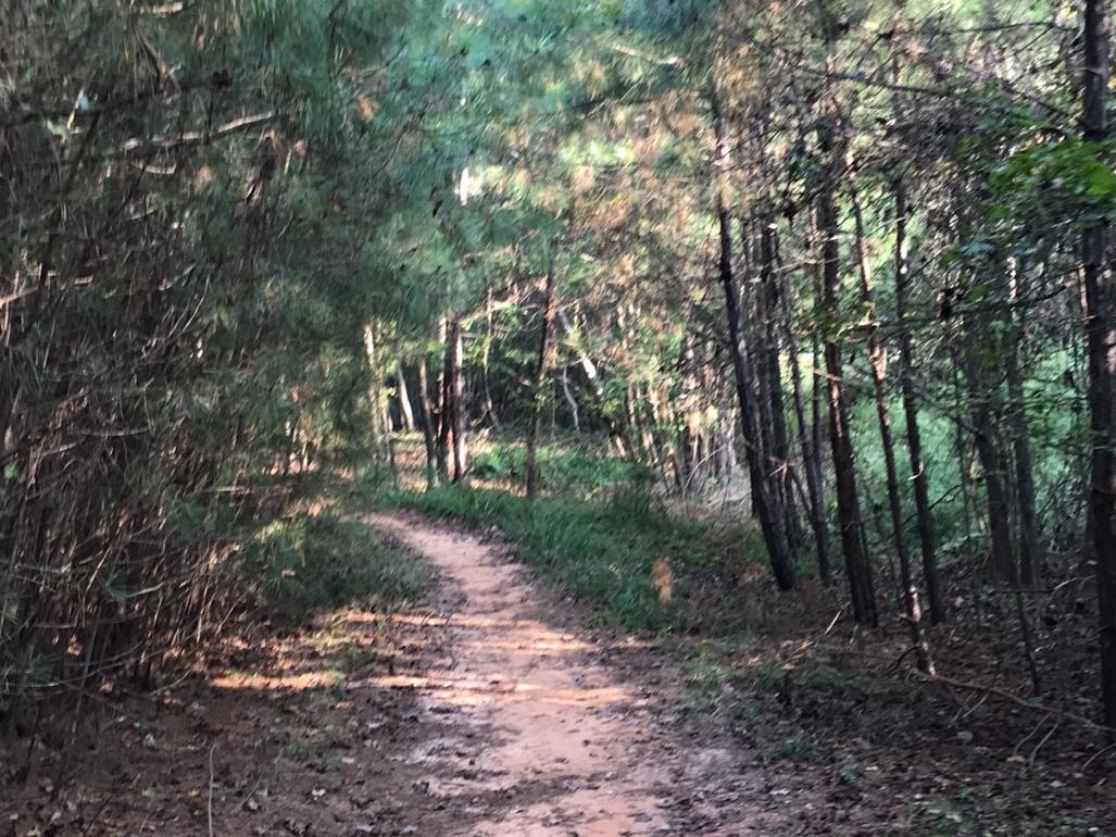 The Wedding Website of Kimberly Simms and Billy Watson