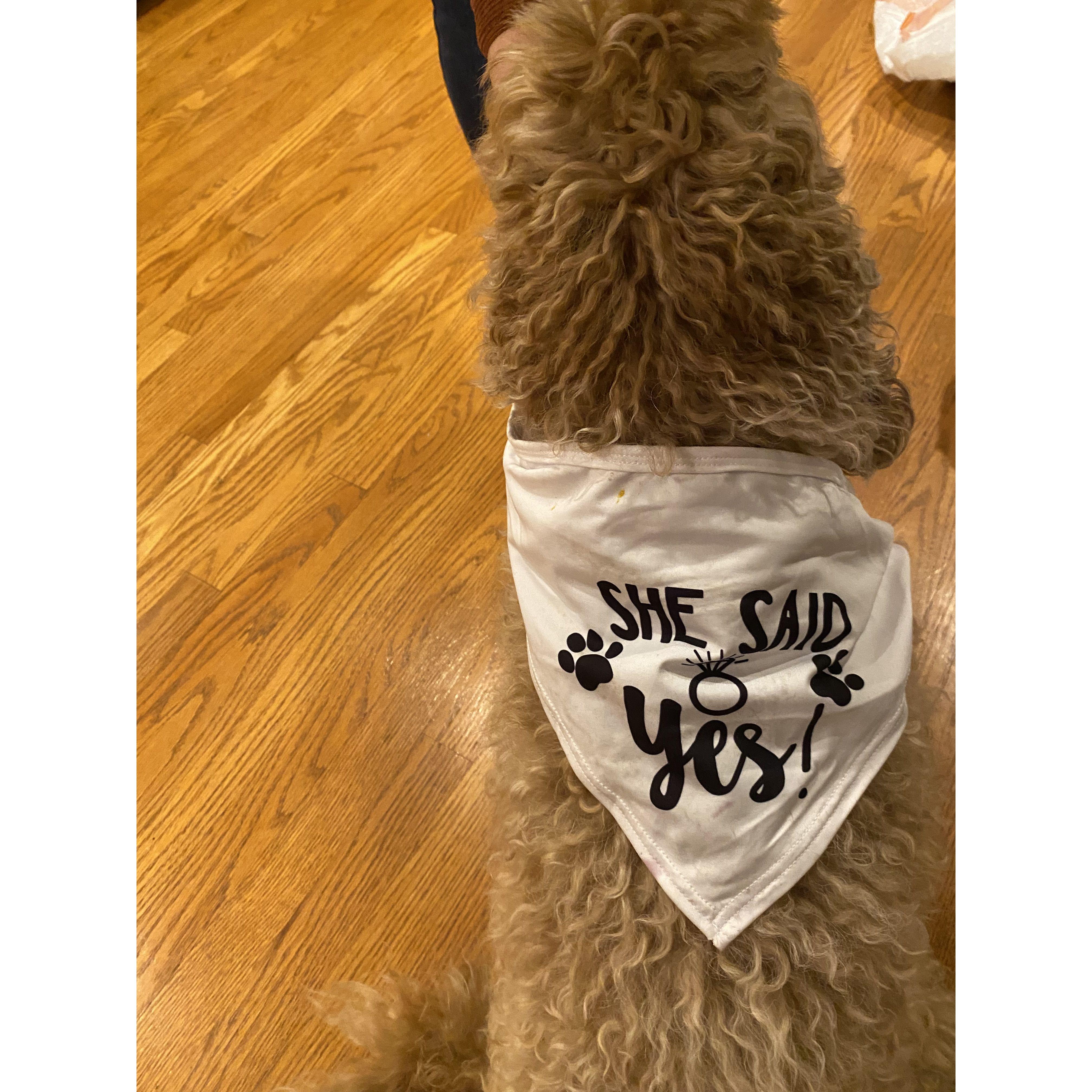 Laila is so excited she said yes!