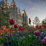 Temple Square