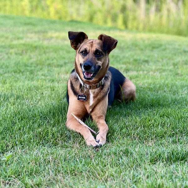 Roxie’s Travel Fund