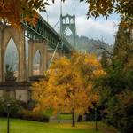 Portland! The city of Bridges (and roses)