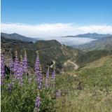Day Trip to Ojai