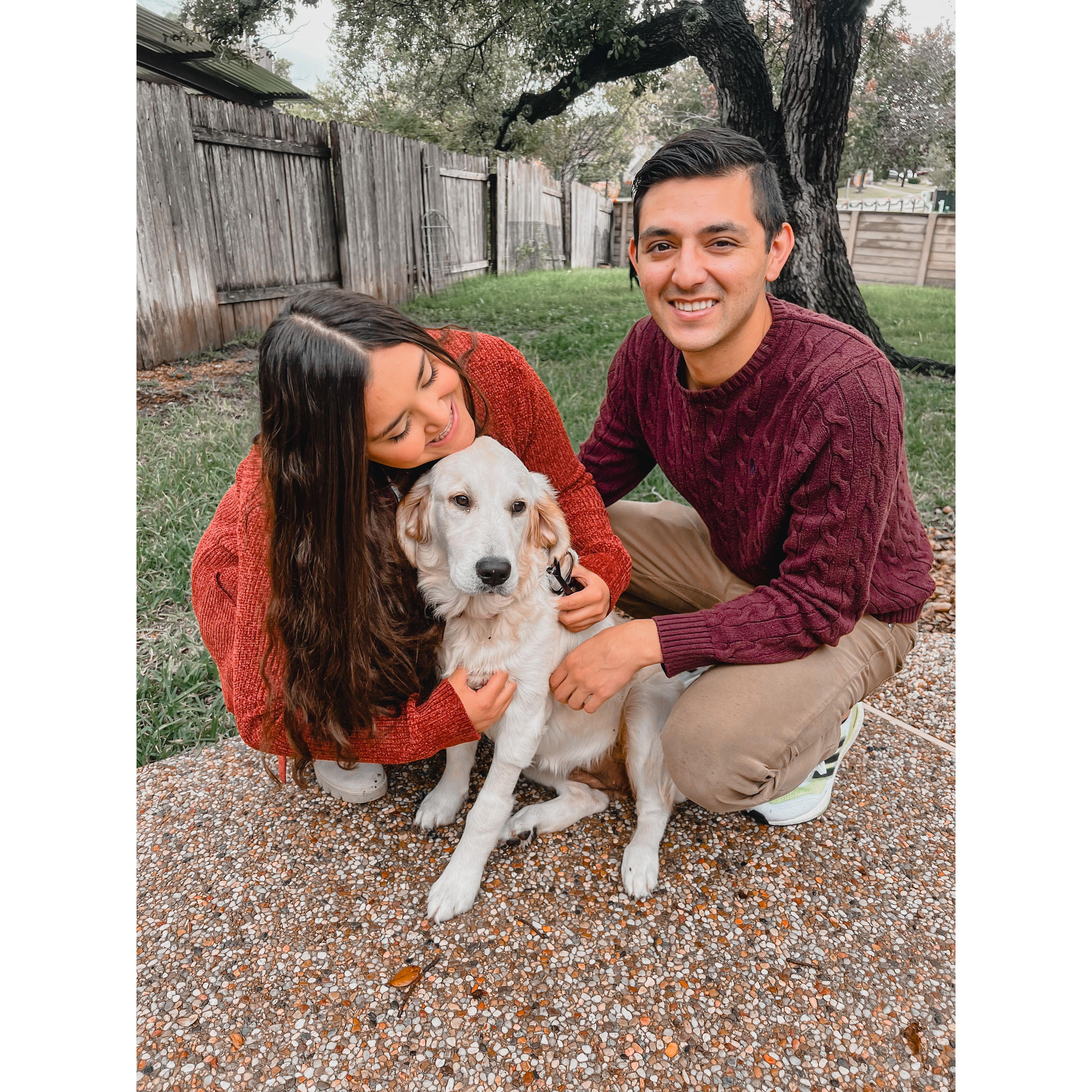 In our Dog Parents era: