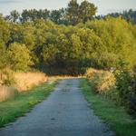 Marymoor Park Trails