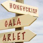 Apple Hill Orchard and Cider Mill
