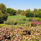 University of Kentucky Arboretum