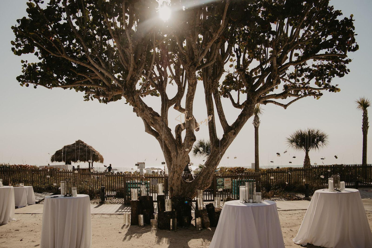 The Wedding Website of Jesse McNinch and Kylie Griffiths