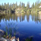 Hirschman Trail