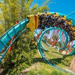 Busch Gardens Tampa