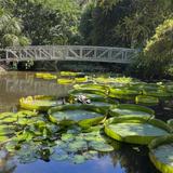 Kanapaha Botanical Gardens