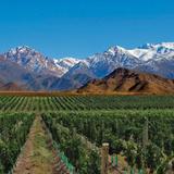 Mendoza