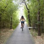 Biking around