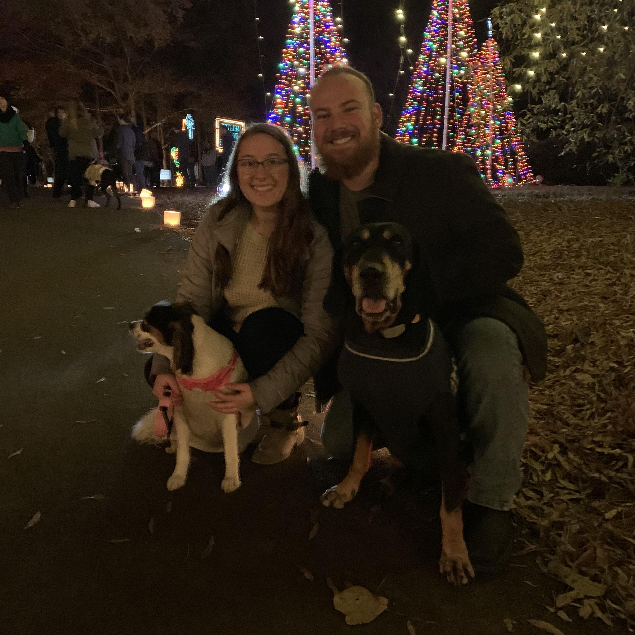 Christmas Lights 2019