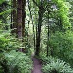 Forest Park NW PDX Entrance
