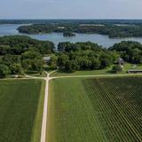 Chatham Vineyards & Winery