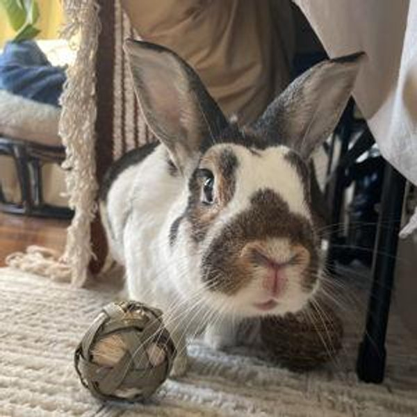 Fritz's fund