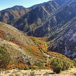 Rattlesnake Gulch in Millcreek Canyon