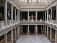 Carnegie Museum of Natural History