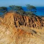 Torrey Pines Nature Reserve