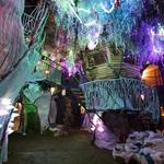 Meow Wolf