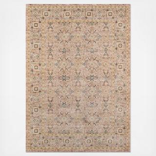 Caspian Light Area Rug