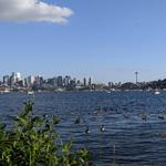 Gas Works Park