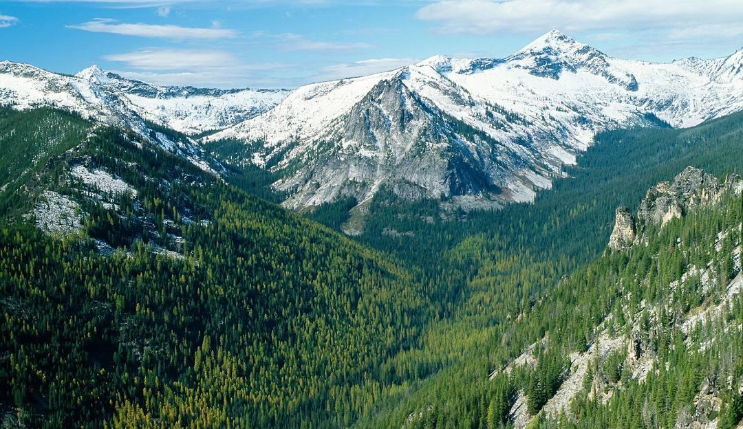 The Wedding Website of Natalie Fylstra and Kody Van Pelt