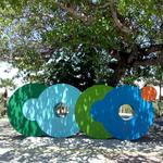 Parque Estadual do Rio Cocó